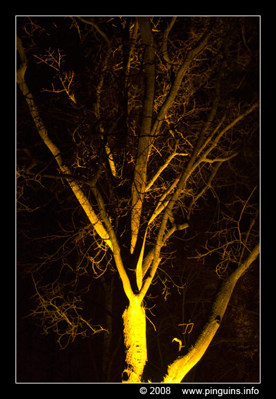 Bokrijk winteravonden  winter evening
Trefwoorden: Bokrijk Belgium winteravonden  winter evening licht light