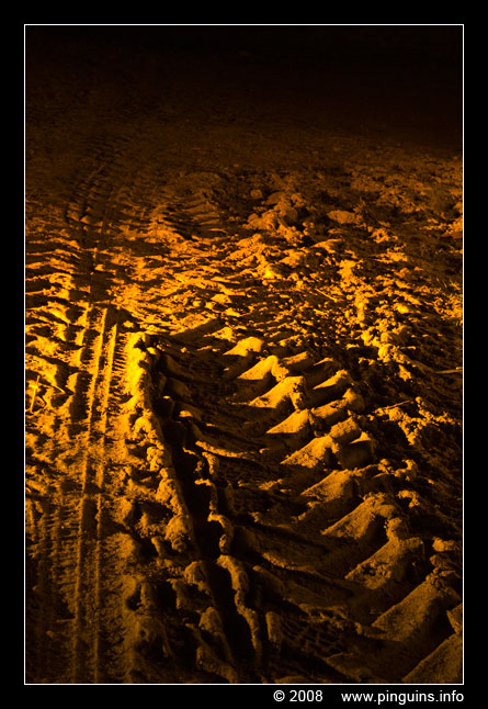 Bokrijk winteravonden  winter evening
الكلمات الإستدلالية(لتسهيل البحث): Bokrijk Belgium winteravonden  winter evening licht light