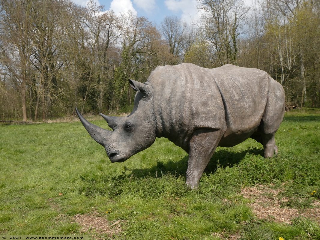 Kasteel Heers castle
Schlüsselwörter: Kasteel Heers castle Belgium neushoorn rhinoceros