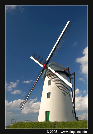 Schelderode (BE) : mill   molen
Trefwoorden: mill molen Schelderode Belgie Belgium