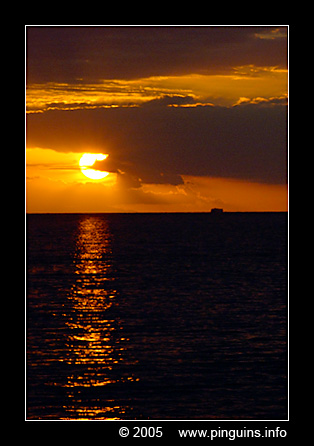 Ocean Sunset
Trefwoorden: Tenerife Ocean Sunset