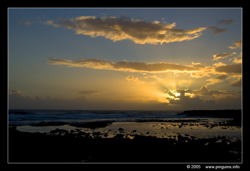 Ocean sunset
Trefwoorden: Tenerife ocean sunset