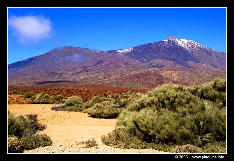National Park del Teide
Trefwoorden: Tenerife National Park del Teide