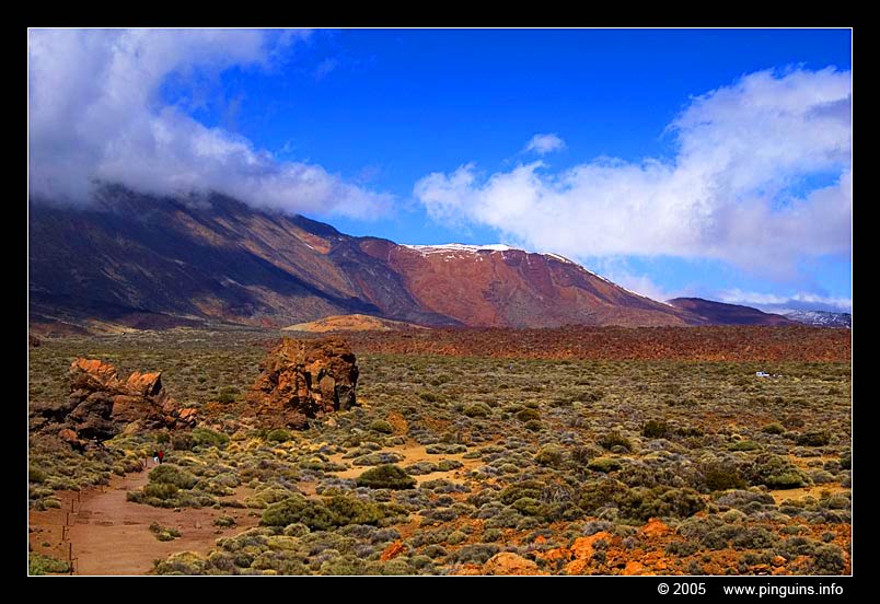 National Park del Teide
Ключови думи: Tenerife National Park del Teide