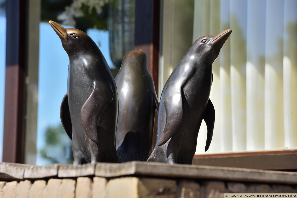 beeld statue
Trefwoorden: Vogelpark Avifauna Nederland beeld statue penguin pinguin