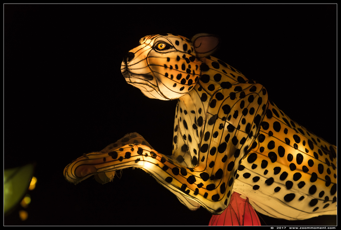 Africa by light lichtobject
Trefwoorden: Safaripark Beekse Bergen Africa by light lichtobject
