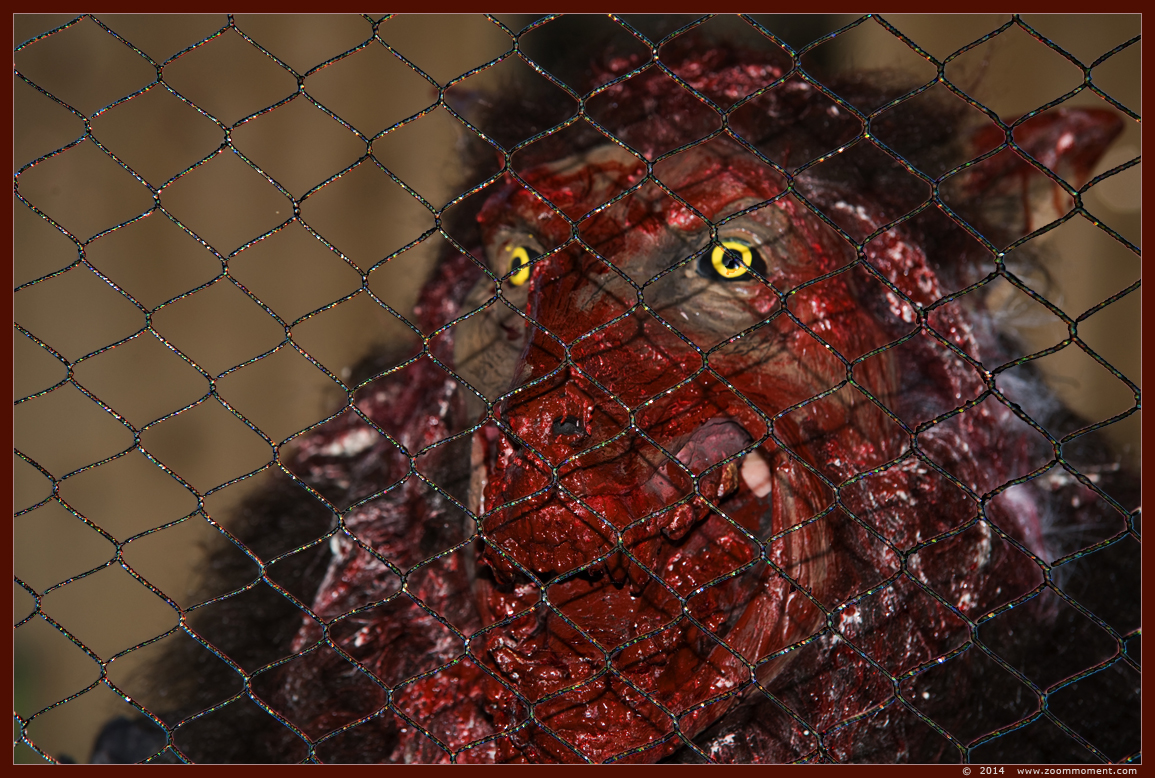 Halloween Animal Zombie Night 2014
Λέξεις-κλειδιά: Gaia zoo Halloween Animal Zombie