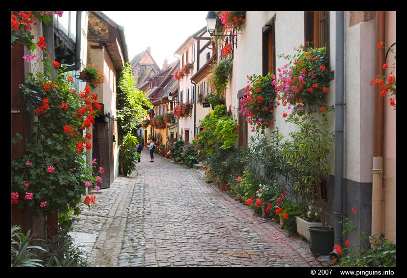 Eguisheim  ( Elzas  France )
Keywords: Eguisheim  Elzas  France Alsace Frankrijk