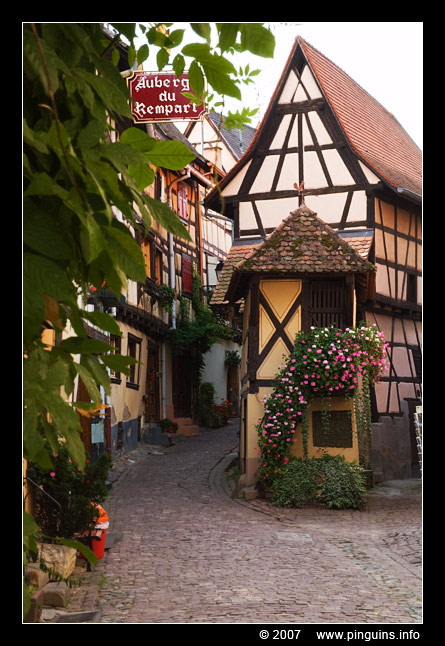 Eguisheim  ( Elzas  France )
Trefwoorden: Eguisheim  Elzas  France Alsace Frankrijk