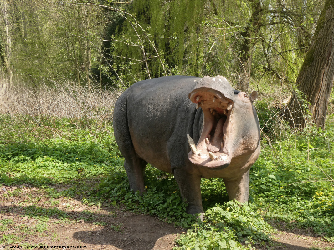Kasteel Heers castle
Trefwoorden: Kasteel Heers castle Belgium nijlpaard hippopotamus