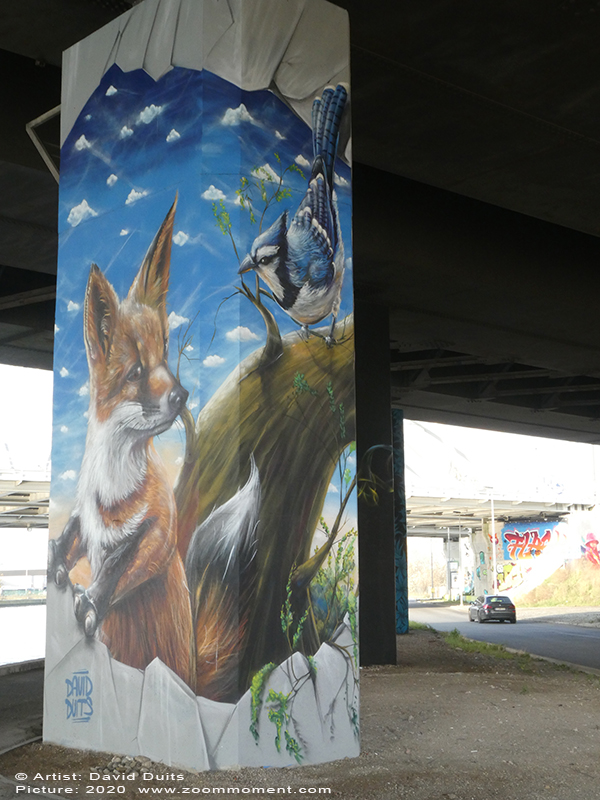 Street Art Antwerpen  Duits fox vos 
Created by Tuzq, DUITS, Smok, Gun-T
Animals for hope (in rememberance of Julie van Espen) – In 2019 a young student disappeared and found dead on her way to Antwerp. The city rolled out a plan to improve safety, quality of life and social control and asked Street Art Antwerp to help out. 4 artists painted the 4 pillars of the highway inspired by nature, the beautiful swan emerging from the water is by Tuzq, the curious fox is by Duits, the colorful hummingbird by Smok and the proud peacock by Gun-T. 
Trefwoorden: Street Art Antwerpen  Duits fox vos