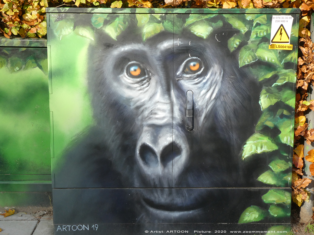 Street Art Antwerpen Artoon
Created by Artoon
Green Gorilla –
StreetArt 2610 Antwerpen
Trefwoorden: Street Art Antwerpen Artoon gorilla