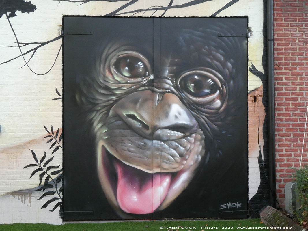 Street Art Antwerpen Smok
Created by Smok
Funky monkeys –
StreetArt 2640 Mortsel
Trefwoorden: Street Art Antwerpen Smok chimpansee