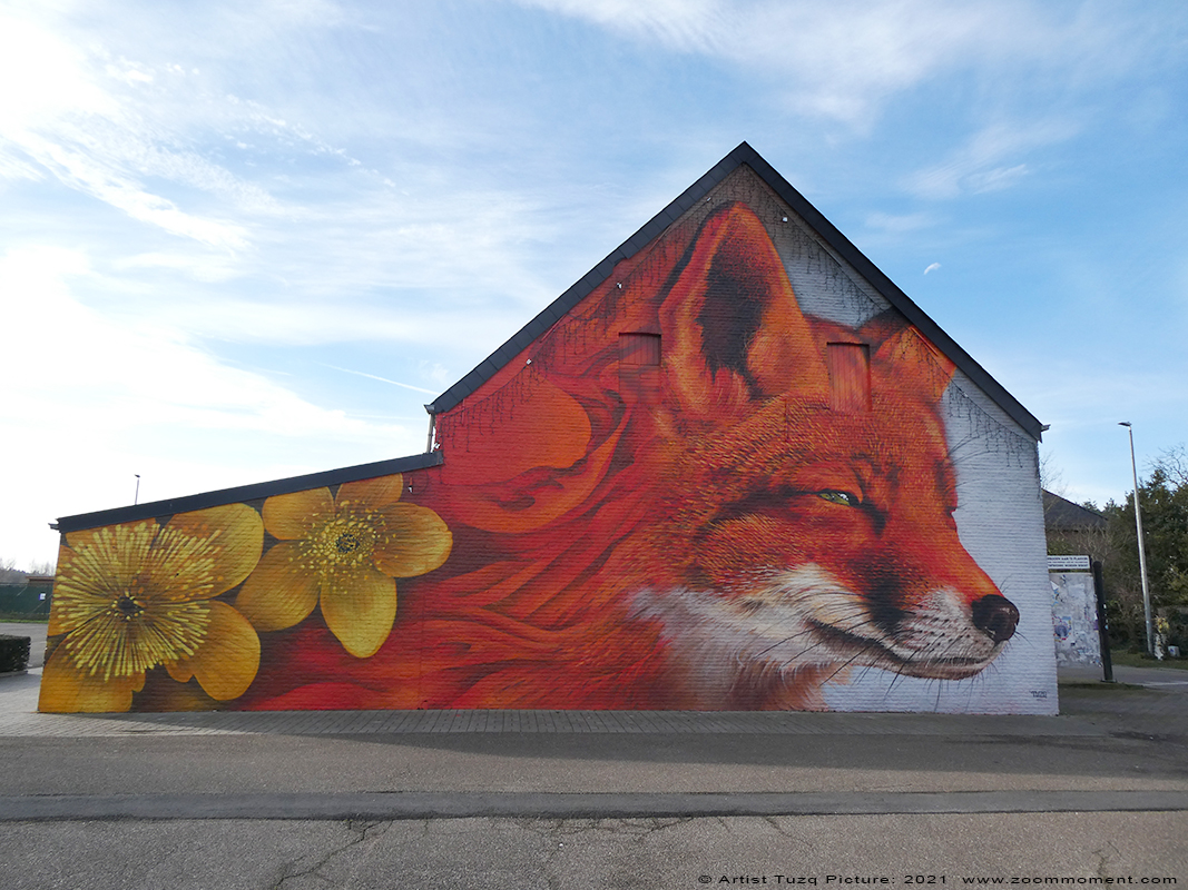 Street Art Zichem Belgium
Created by Tuzq
Untitled – Local artist Tuzq pimped this blind wall with support of Treepack
Trefwoorden: Street Art Zichem Belgium Tuzq vos fox