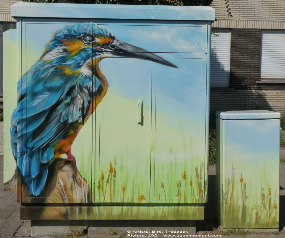 Streetart Antwerpen Belgium 
Created by Bird, Treepack
Tour Elentrik - Kingfisher 
Trefwoorden: Streetart Antwerpen Belgium ijsvogel kingfisher