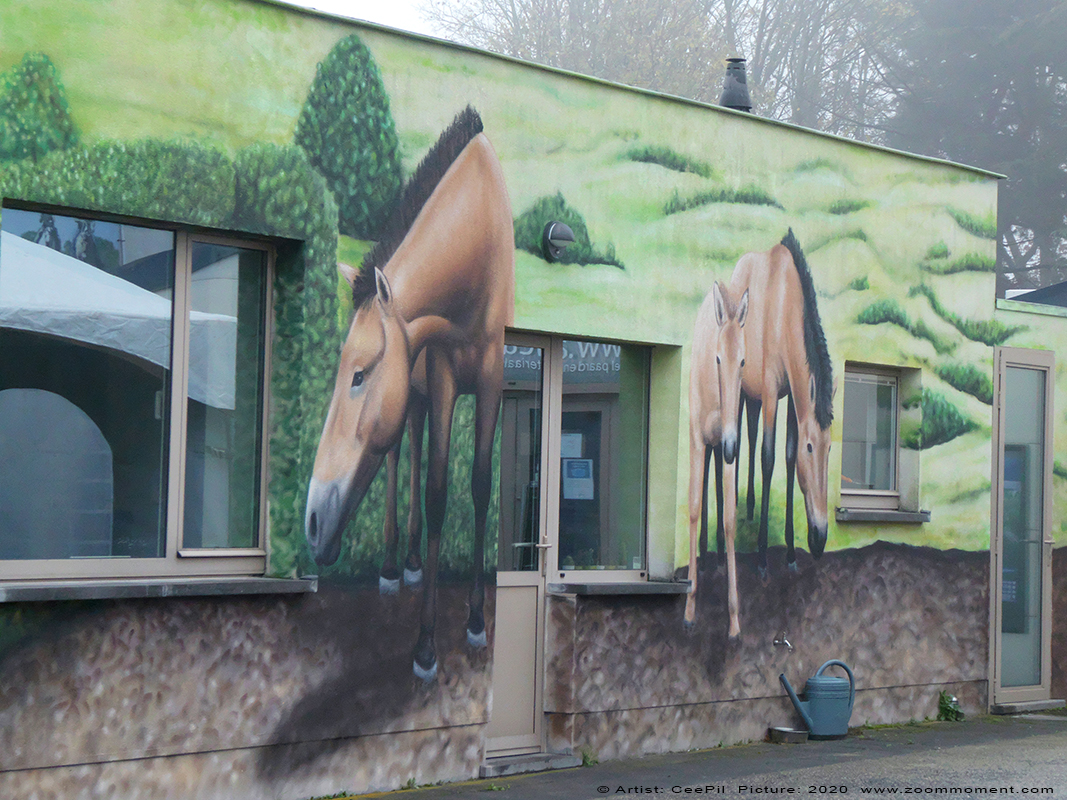 Street Art Gent Cee Pil 
Trefwoorden: Street Art Gent Cee Pil paard horse