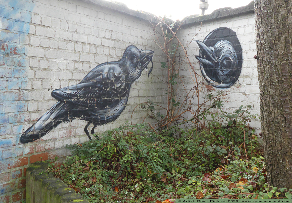 Street Art Gent Birds nest Roa
Trefwoorden: Street Art Gent Birds nest Roa