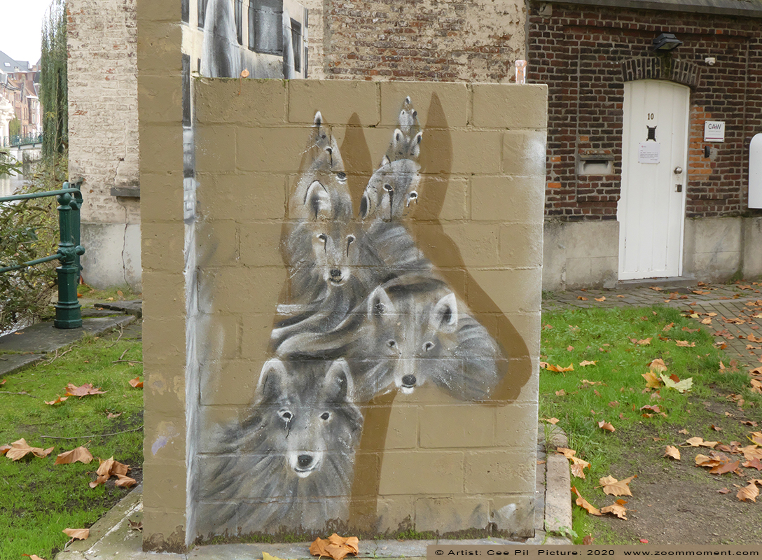 Street Art Gent Cee Pil 
Trefwoorden: Street Art Gent Cee Pil fox vos