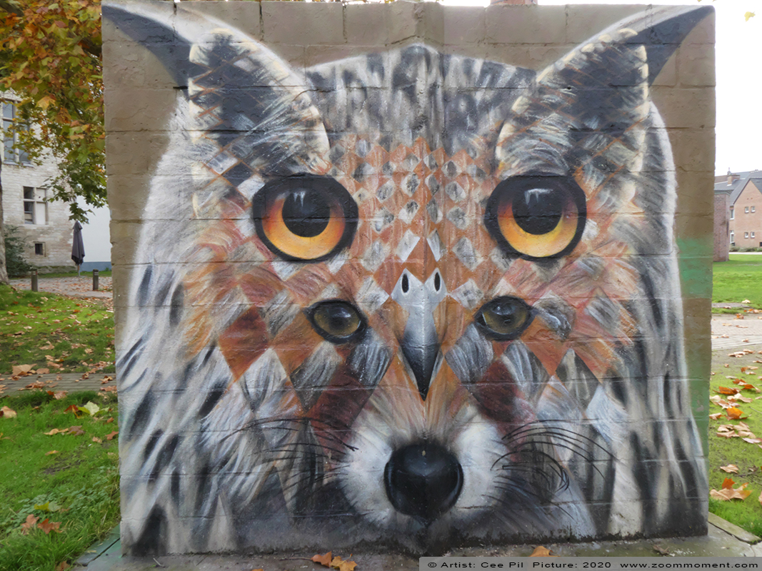 Street Art Gent Cee Pil 
Trefwoorden: Street Art Gent Cee Pil fox vos owl uil