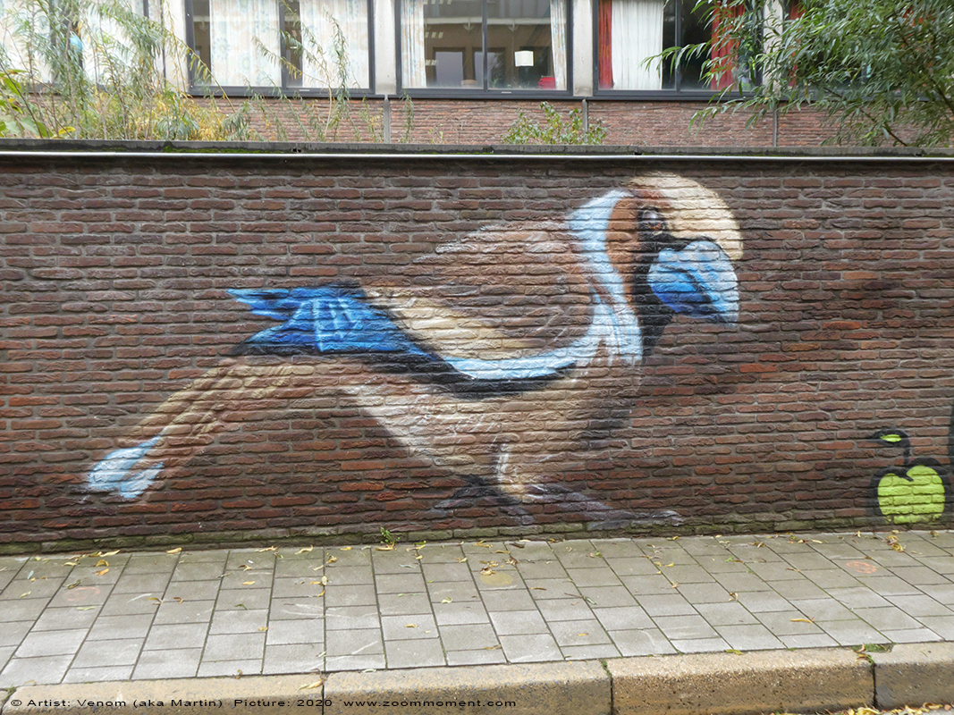 Street Art Gent Geluksvogels Venom (aka Martin)
Trefwoorden: Street Art Gent Geluksvogels Venom  Martin