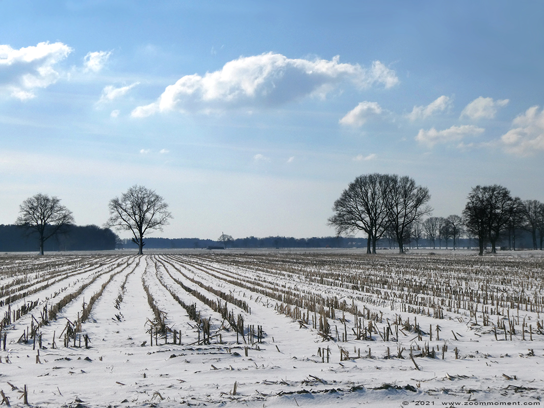 Vaart
Parole chiave: Vaart Belgium sneeuw snow