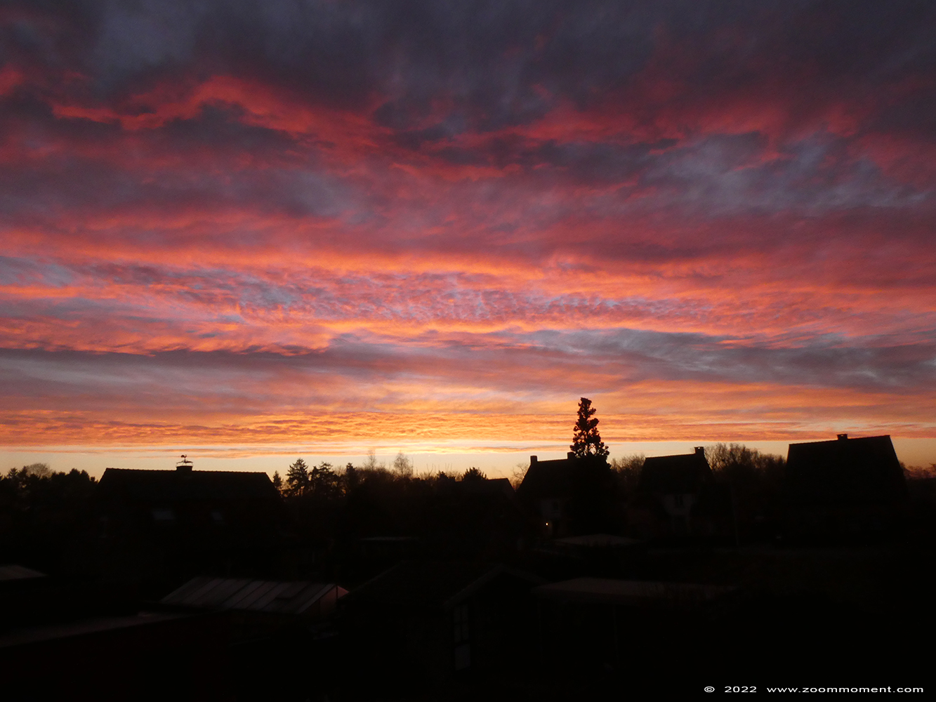 zonsopgang sunrise
Trefwoorden: Beerse Belgium zonsopgang sunrise