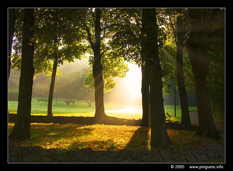 Geraardsbergen  ( Belgium )
Trefwoorden: Belgie Belgium Geraardsbergen sunbeam zonnestraal zonnestralen
