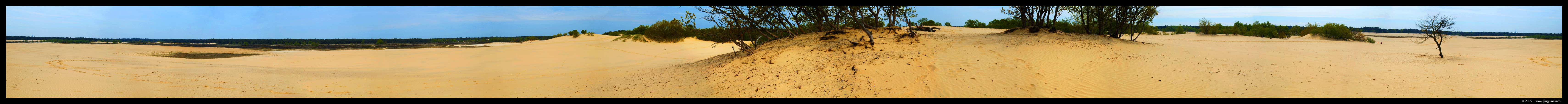 Duinen    dunes panorama
Trefwoorden: Loonse Drunense Duinen dunes
