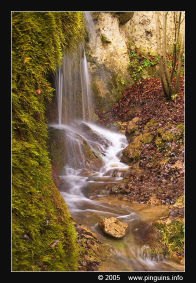 waterval  waterfall  ( Dreimühlen Germany )
Trefwoorden: Dreimühlen Dreimuehlen Germany water waterval waterfall Wasserfall