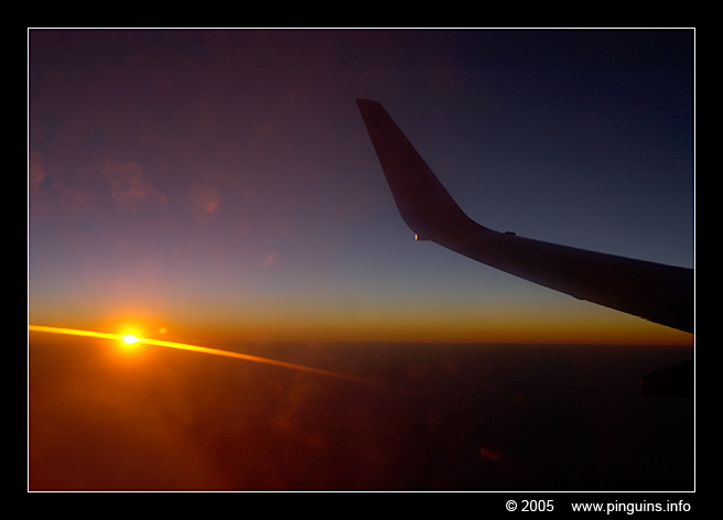 Flying to Tenerife
Trefwoorden: flight sunrise plane Tenerife