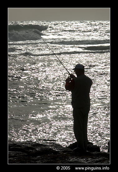 Fisherman - visser
Trefwoorden: Tenerife ocean fisherman visser
