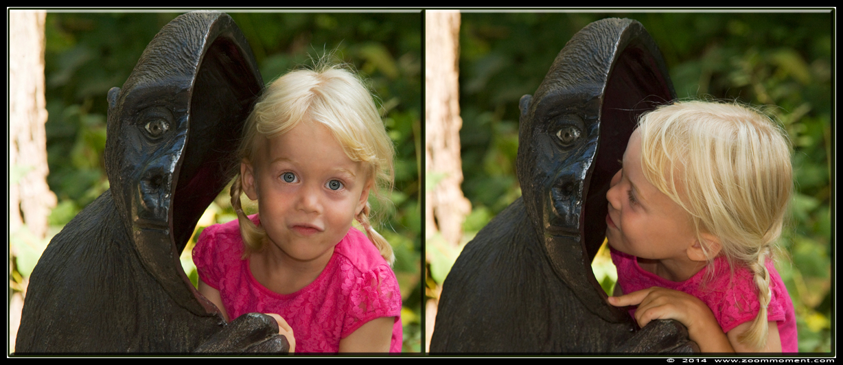 Gorilla beeld met meisje
Trefwoorden: Apenheul zoo Gorilla gorilla baby primates primaten mensaap