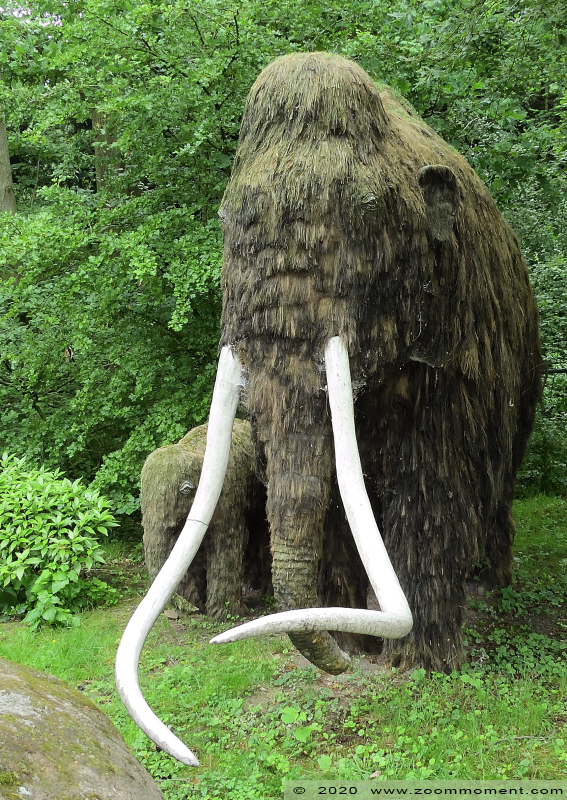 mammoet
Trefwoorden: Gaiapark Kerkrade mammoet mammut