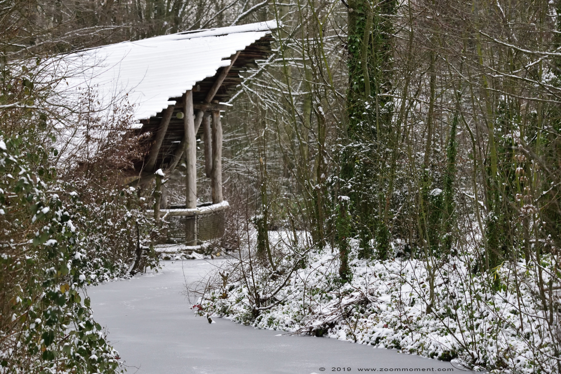 park
Trefwoorden: Gaiapark Kerkrade Nederland zoo  sneeuw snow