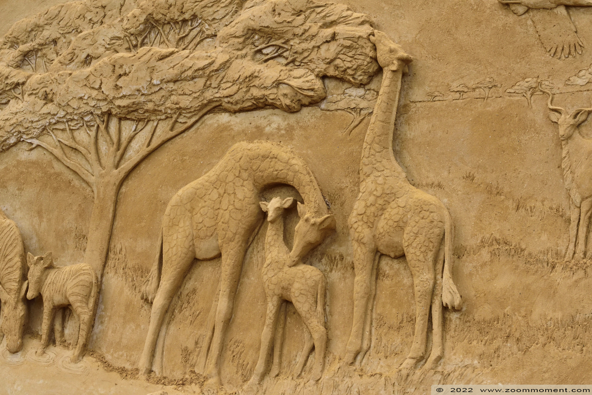 zandsculptuur Zoo van zand sandsculpture
Trefwoorden: Gaiazoo Nederland zandsculptuur Zoo van zand sandsculpture