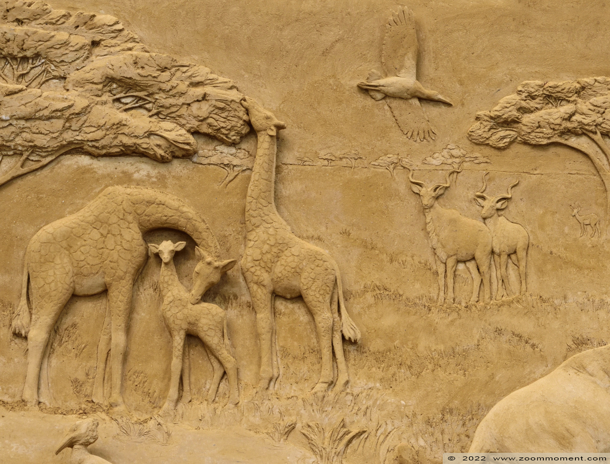 zandsculptuur Zoo van zand sandsculpture
Keywords: Gaiazoo Nederland zandsculptuur Zoo van zand sandsculpture