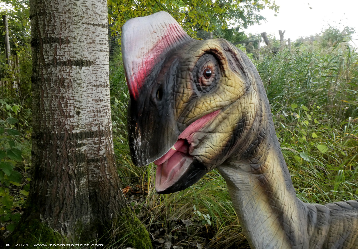 dinosaurus
Trefwoorden: Zooparc Overloon Nederland dinosaurus