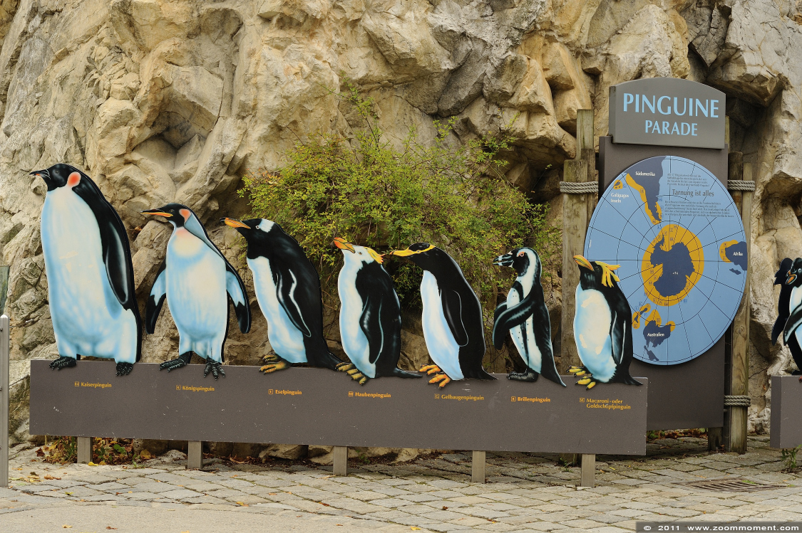 pinguin beeld penguin statue 
Trefwoorden: Wenen zoo pinguin beeld penguin statue